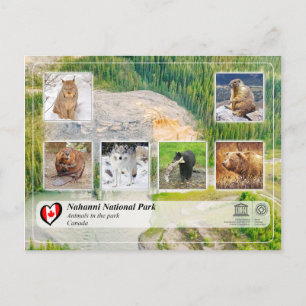 Unesco WHS - Nahanni nationalpark Vykort
