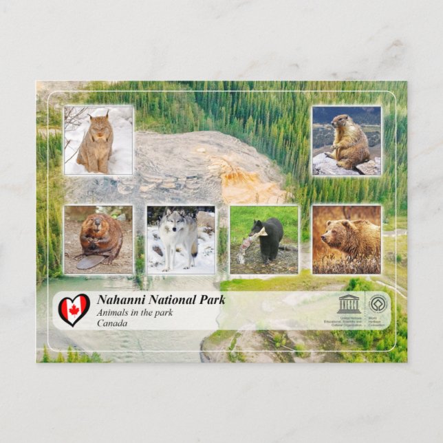 Unesco WHS - Nahanni nationalpark Vykort (Framsida)