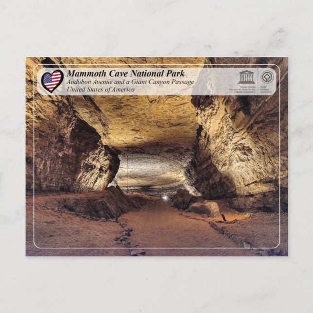 Unesco WHS - nationalparken Mammoth Cave Vykort (Framsida)