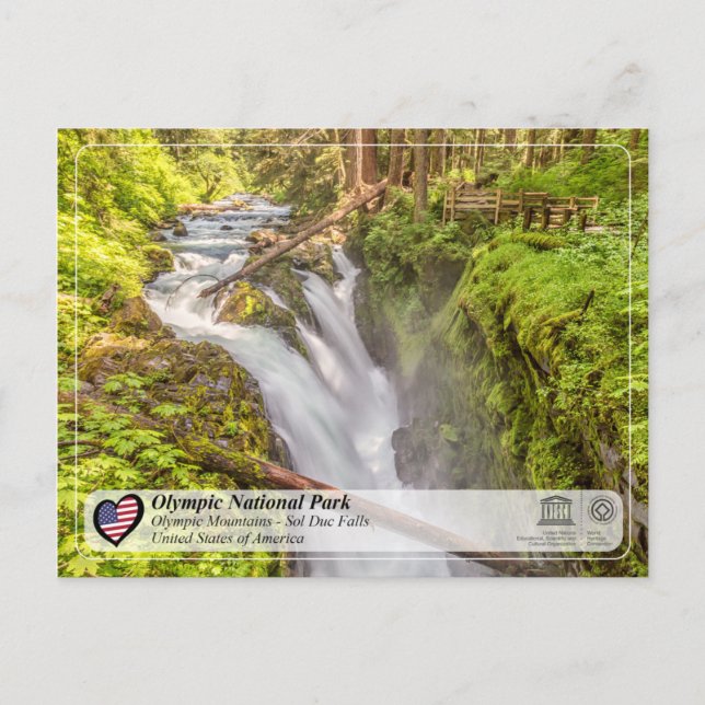 Unesco WHS - Olympic National Park - Sol Duc Falls Vykort (Framsida)