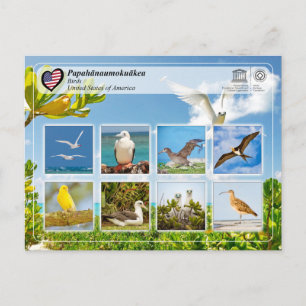 UNESCO WHS - Papahānaumokuākea - Birds Vykort