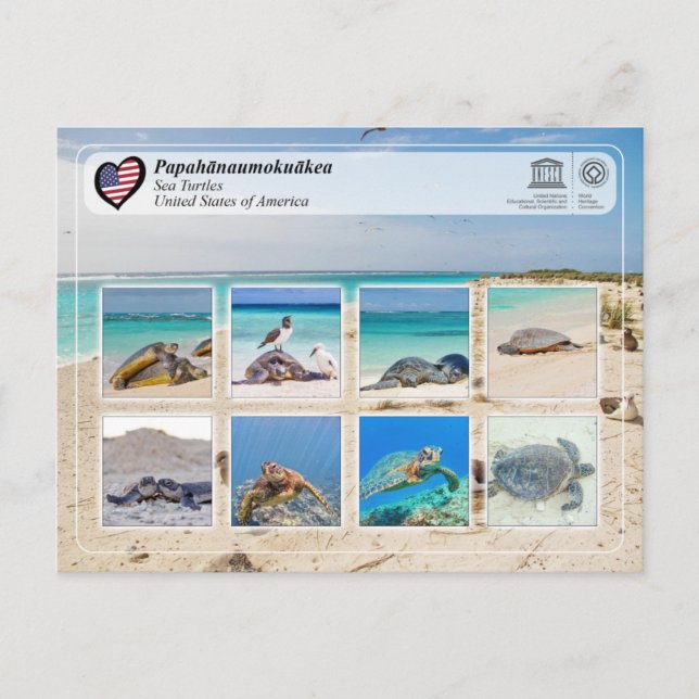 UNESCO WHS - Papahānaumokuākea - Havssköldpaddor Vykort (Framsida)