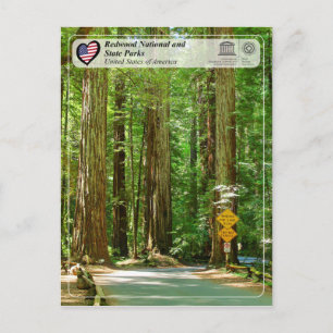 Unesco WHS - Redwood National och State Parker Vykort