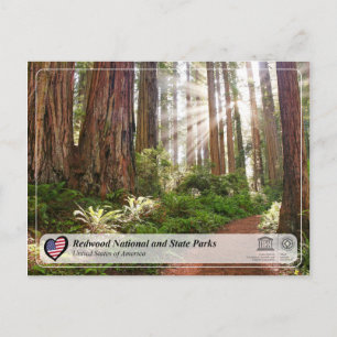Unesco WHS - Redwood National och State Parker Vykort