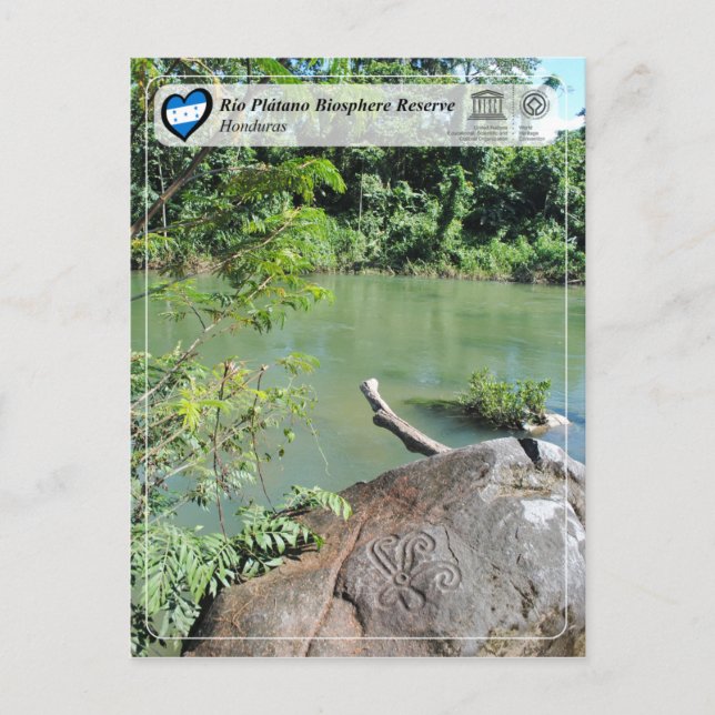 Unesco WHS - Río Plátano Biosphere Reserve Vykort (Framsida)