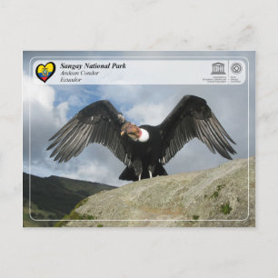 Unesco WHS - Sangay National Park - Andean Condor Vykort