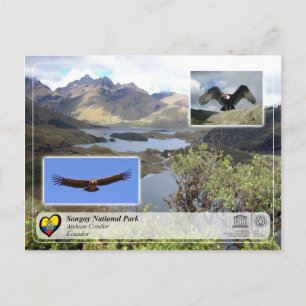 Unesco WHS - Sangay National Park - Andean Condor Vykort