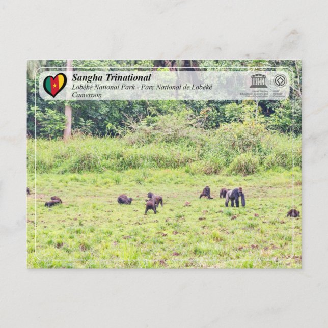 Unesco WHS - Sangha Trinational - Lobéké Vykort (Framsida)