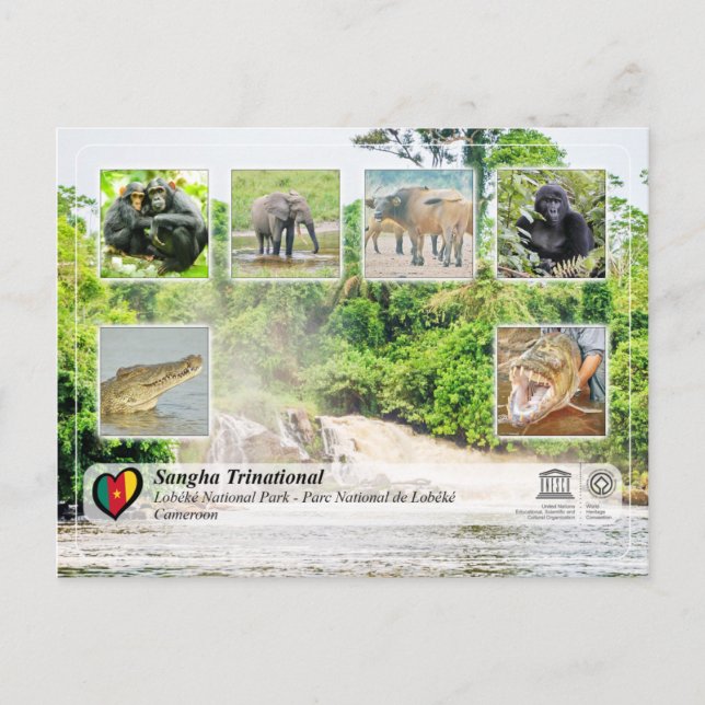 Unesco WHS - Sangha Trinational - Lobéké Vykort (Framsida)