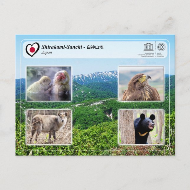 UNESCO WHS - Shirakami-Sanchi - 白神山地 Vykort (Framsida)