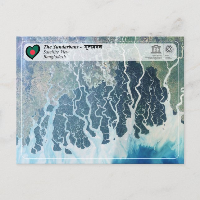 UNESCO WHS - Sundarbans Vykort (Framsida)