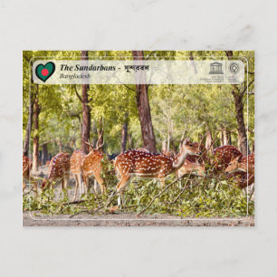 UNESCO WHS - Sundarbans Vykort