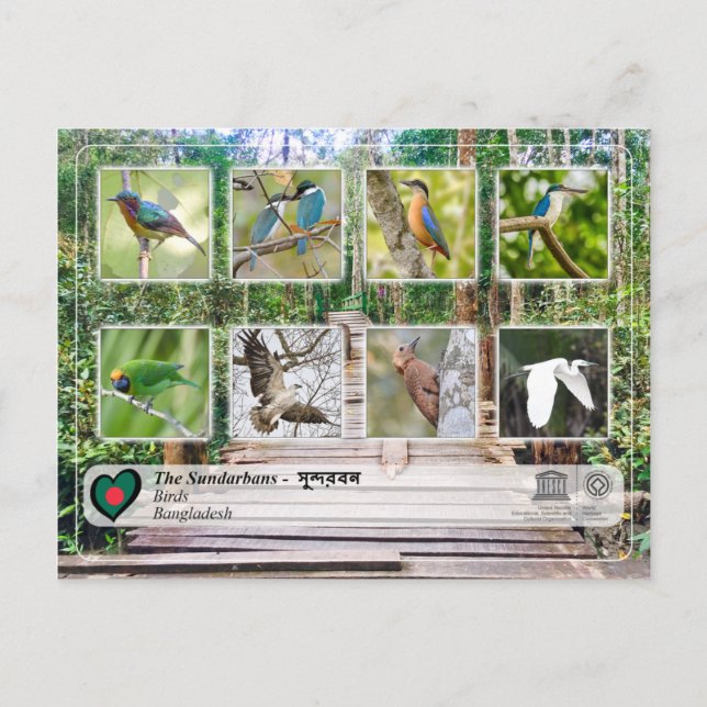 UNESCO WHS - Sundarbans Vykort (Framsida)