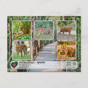 UNESCO WHS - Sundarbans Vykort