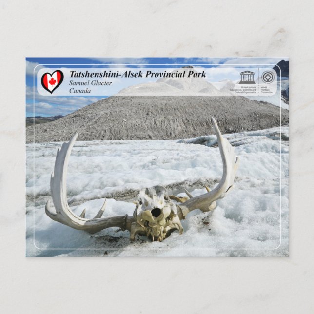 UNESCO WHS - Tatshenshini-Alsek Provinspark Vykort (Framsida)