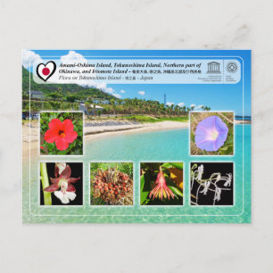 UNESCO WHS - Tokunoshima Island - 徳 之 島 - Flora Vykort