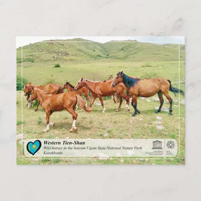 UNESCO WHS - Västra Tien Shan - Sairam-Ugam Vykort (Framsida)