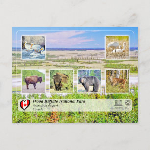 Unesco WHS - Wood Buffalo nationalpark Vykort