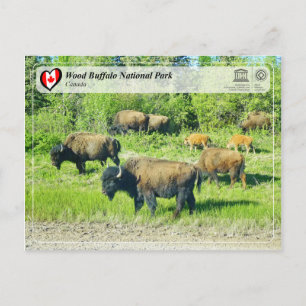 Unesco WHS - Wood Buffalo nationalpark Vykort