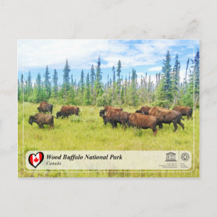Unesco WHS - Wood Buffalo nationalpark Vykort
