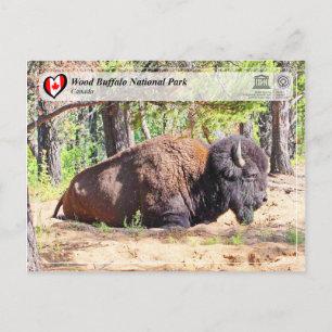 Unesco WHS - Wood Buffalo nationalpark Vykort