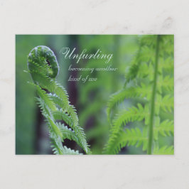 Unfurling fern löv CC0191 Nature närbild Vykort