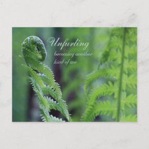 Unfurling fern löv CC0191 Nature närbild Vykort