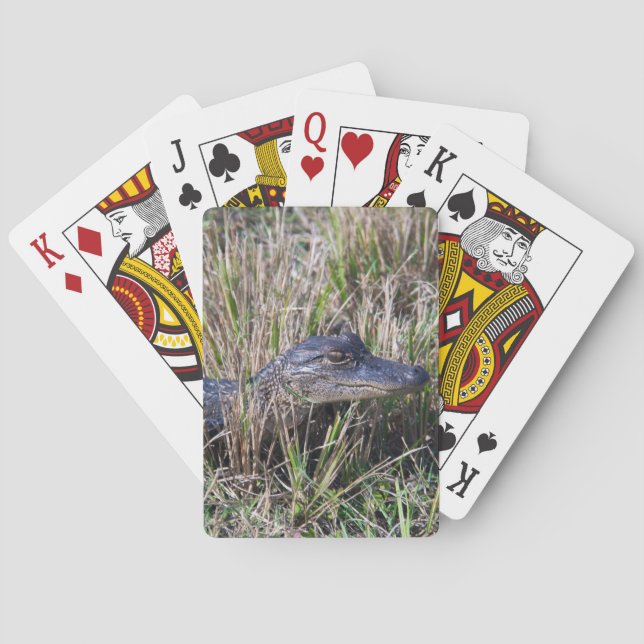 Ung Alligator i Sumpgräs Foto Casinokort (Baksidan)
