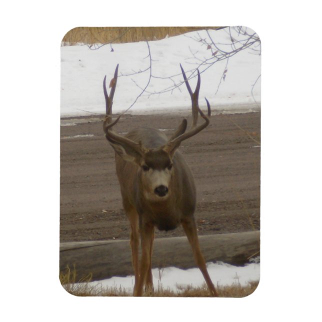 Ung Buck Flexibel Magnet (Vertikal)