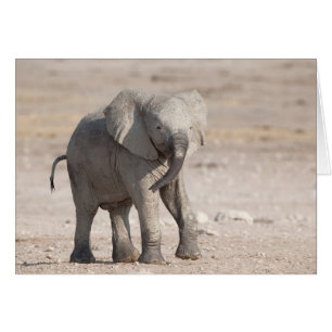 Ung elefant i leksak hälsningskort