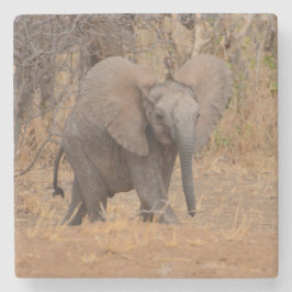 Ung elefant med Fled Öron. Stenunderlägg