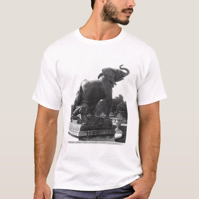 Ung elefant som fångas i en fälla tröja (Framsida)
