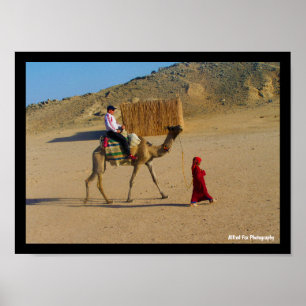 Ung flicka med kamel poster