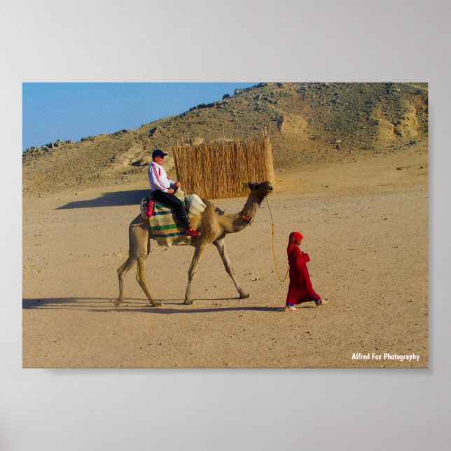 Ung flicka med kamel poster (Framsidan)