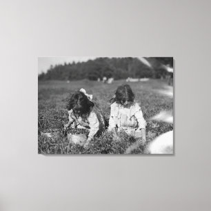 Ung flickaplockningCranberries fotograferar Canvastryck