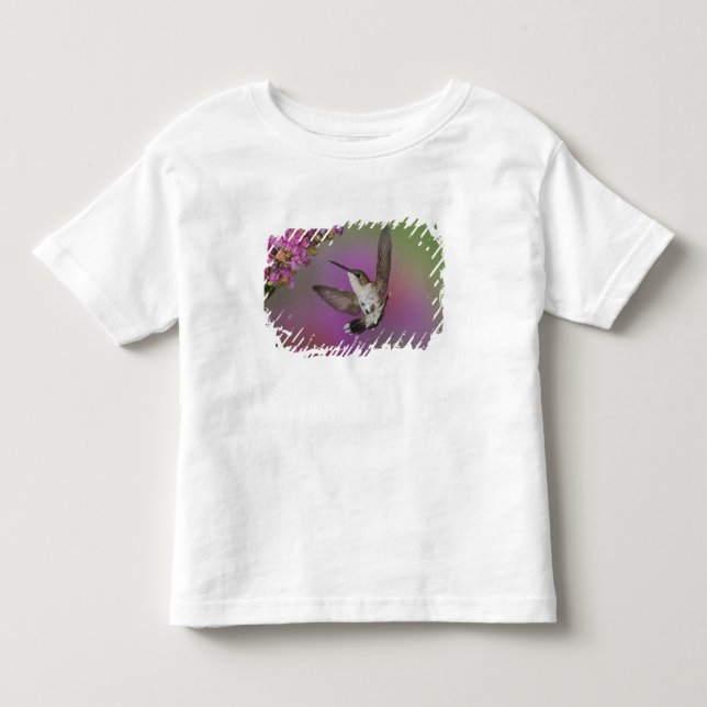 Ung hane Rubinhuvad kolibri T-shirt (Framsida)