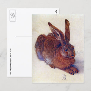 Ung hare av Albrecht Durer, renässansens finkonst Vykort