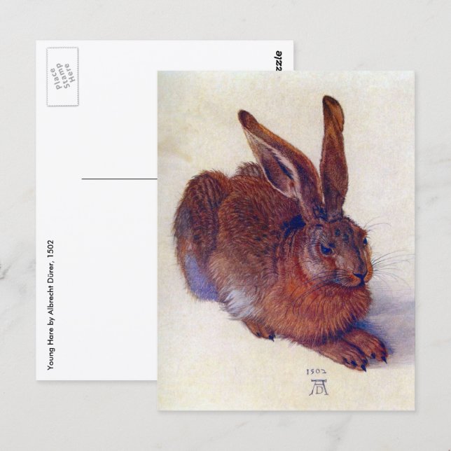 Ung hare av Albrecht Durer, renässansens finkonst Vykort (Fram/baksida)