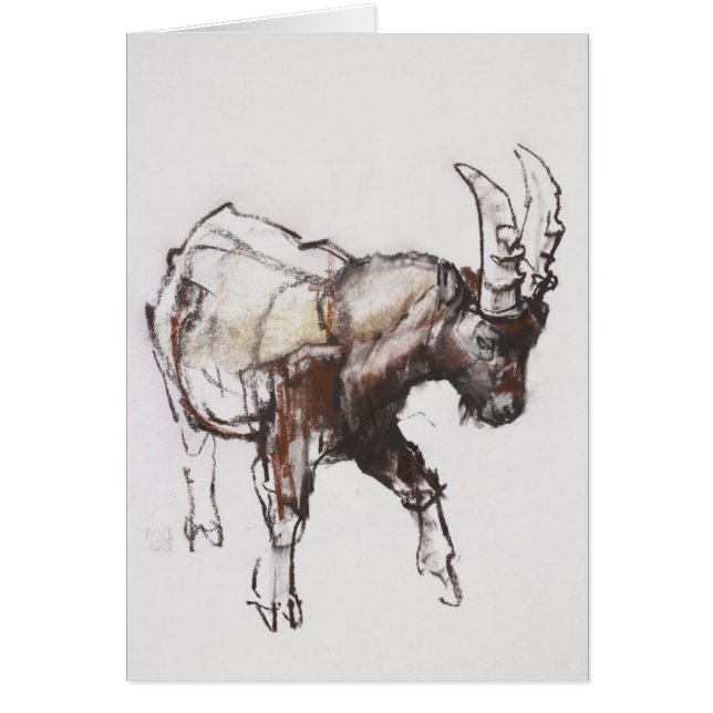 Ung Ibex Gran Paradiso 2005 Hälsningskort (Framsidan)