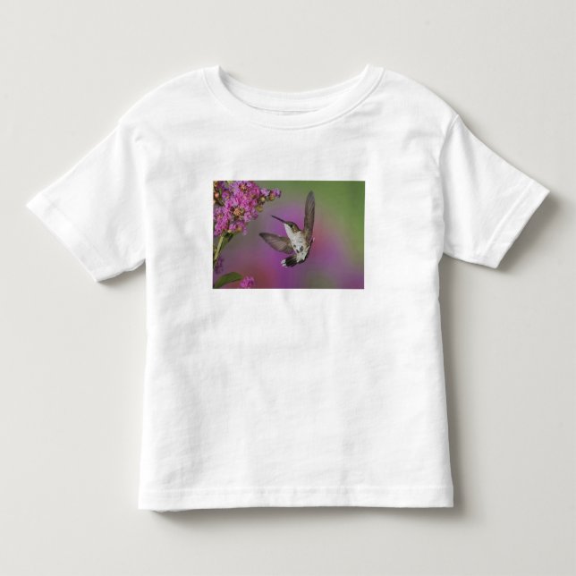 Ung kolibrihanne med rubinröd strupe t shirt (Framsida)