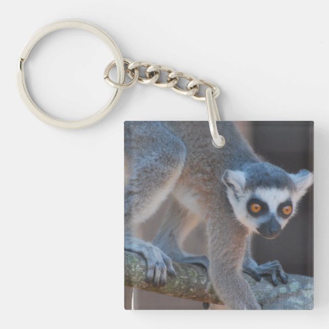 Ung Lemur Keychain (Framsidan)