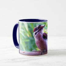 Ung Male dunig hackspett på räcke