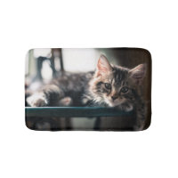 Ung Male tabby katt 2