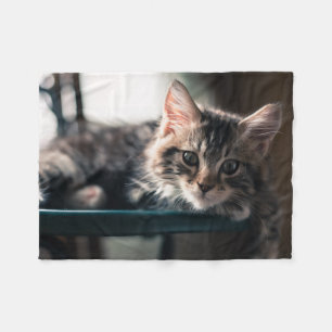 Ung Male tabby katt 2 Fleecefilt