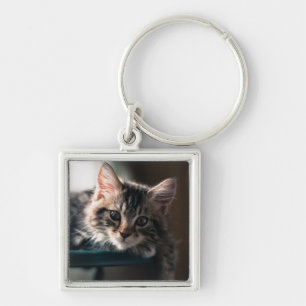 Ung Male tabby katt 2 Fyrkantig Silverfärgad Nyckelring