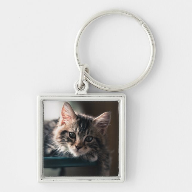 Ung Male tabby katt 2 Fyrkantig Silverfärgad Nyckelring (Framsidan)