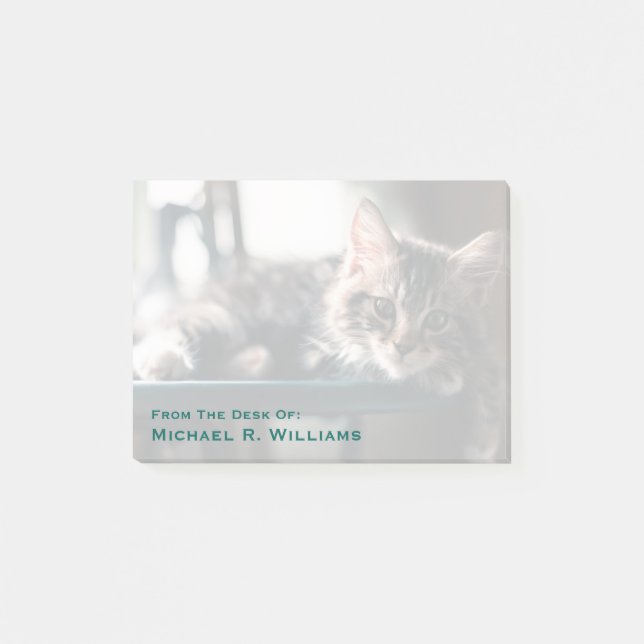 Ung Male tabby katt 2 Post-it Block (Framsida)