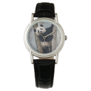 Ung panda som klättrar i ett träd, Kina Armbandsur