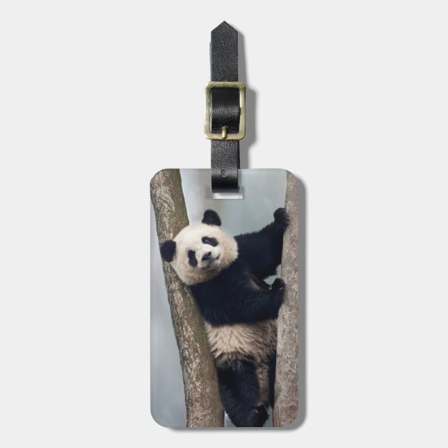 Ung panda som klättrar i ett träd, Kina Bagagebricka (Vertikal Framsida)