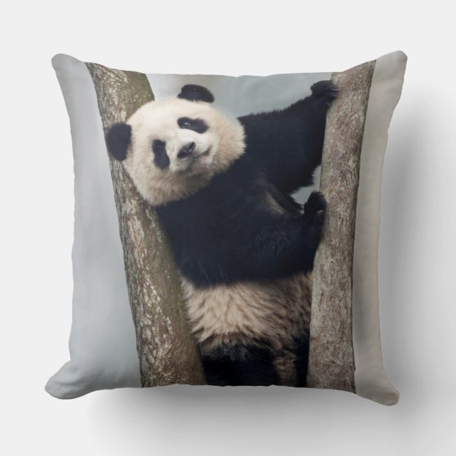 Ung panda som klättrar i ett träd, Kina Kudde (Framsida)